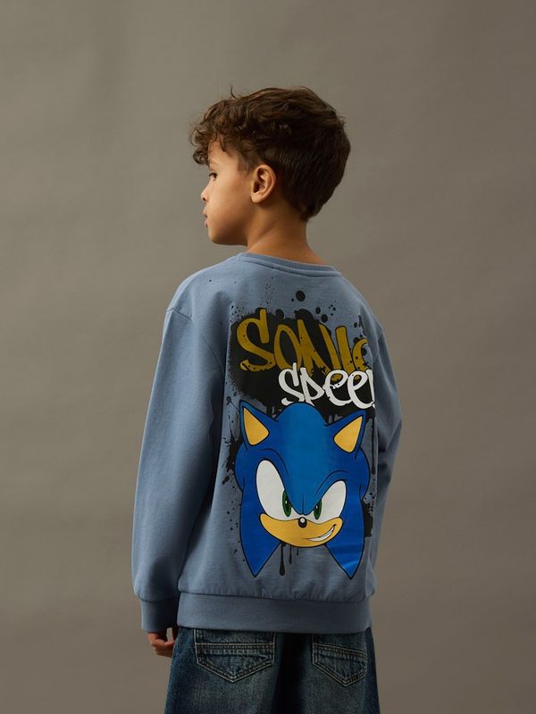 Name It Sonic genser flint stone